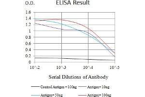 Black line: Control Antigen (100 ng),Purple line: Antigen (10 ng), Blue line: Antigen (50 ng), Red line:Antigen (100 ng) (Ataxin 1 antibody  (AA 645-815))