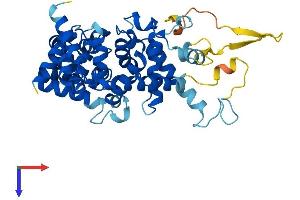 Protein Structure (PS) image for TBC1 Domain Family, Member 13 (TBC1D13) (AA 1-400) protein (His tag) (ABIN7544234)