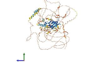 Protein Structure (PS) image for Protein Phosphatase 1, Regulatory Subunit 3F (PPP1R3F) (AA 1-799) protein (His tag) (ABIN7561545)