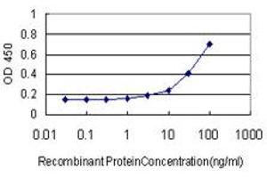 Detection limit for recombinant GST tagged RUNX2 is approximately 3ng/ml as a capture antibody. (RUNX2 antibody  (AA 251-350))