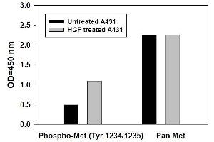 Image no. 2 for Met Proto-Oncogene (MET) ELISA Kit (ABIN625241) (c-MET ELISA Kit)