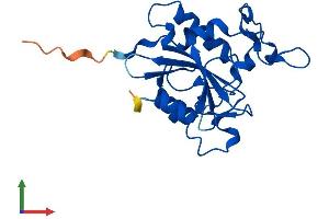 Protein Structure (PS) image for WDYHV Motif Containing 1 (WDYHV1) (AA 1-205) protein (His tag) (ABIN7549928)