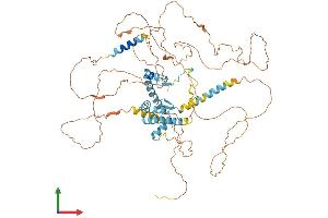 AlphaFold protein structure predicition of Human Recombinant AKAP8 Protein, UniprotID O43823 (AKAP8 Protein (AA 1-692) (His tag))