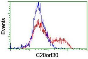 HEK293T cells transfected with either RC201878 overexpress plasmid (Red) or empty vector control plasmid (Blue) were immunostained by anti-C20orf30 antibody (ABIN2455884), and then analyzed by flow cytometry. (C20orf30 antibody)