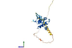 AlphaFold protein structure predicition of Human Recombinant SPDYE4 Protein, UniprotID A6NLX3 (SPDYE4 Protein (AA 1-237) (His tag))