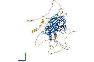 AlphaFold protein structure predicition of Mouse Recombinant Rap1gap Protein, UniprotID A2ALS5