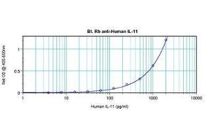 Image no. 1 for anti-Interleukin 11 (IL11) antibody (Biotin) (ABIN465008) (IL-11 antibody  (Biotin))