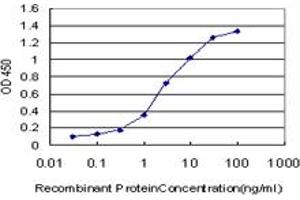 Detection limit for recombinant GST tagged IRF2 is approximately 0. (IRF2 antibody  (AA 216-315))