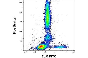 Flow cytometry surface staining pattern of human peripheral whole blood stained using anti-human IgM (CH2) FITC antibody (concentration in sample 1 μg/mL). (Mouse anti-Human IgM Antibody (FITC))
