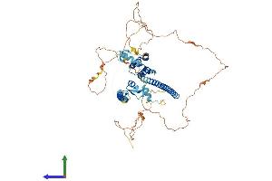 Protein Structure (PS) image for Core-binding Factor, Runt Domain, alpha Subunit 2, Translocated To, 2 (CBFA2T2) (AA 1-604) protein (His tag) (ABIN7554633)