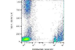 Flow cytometry analysis (surface staining) of CD235a in human peripheral blood (erythrocytes and leukocytes) with anti-CD235a (JC159) purified, GAM-APC. (CD235a/GYPA antibody)