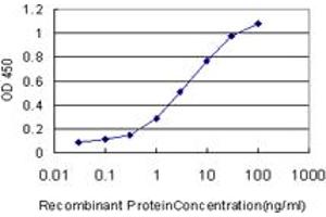 Detection limit for recombinant GST tagged GOLM1 is approximately 0. (GOLM1 antibody  (AA 302-401))
