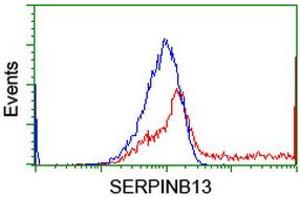 HEK293T cells transfected with either RC211032 overexpress plasmid (Red) or empty vector control plasmid (Blue) were immunostained by anti-SERPINB13 antibody (ABIN2455118), and then analyzed by flow cytometry. (SERPINB13 antibody)