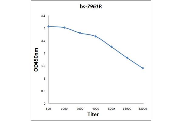 ANKRD11 antibody  (AA 731-820)