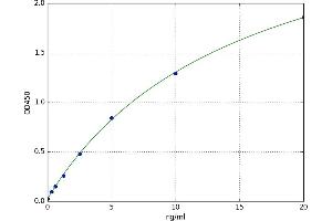 A typical standard curve