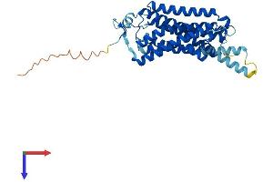 AlphaFold protein structure predicition of Mouse Recombinant Taar7b Protein, UniprotID Q5QD11 (TAAR7B Protein (AA 1-358) (His tag))