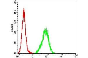 Flow cytometric analysis of Hela cells using C1QA mouse mAb (green) and negative control (red). (C1QA antibody  (AA 96-245))