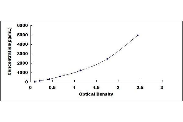 BMP1 ELISA Kit