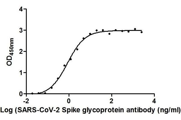 Recombinant SARS-CoV-2 Spike S1 antibody  (RBD)