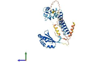 AlphaFold protein structure predicition of Human Recombinant NECAB2 Protein, UniprotID Q7Z6G3