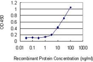 Detection limit for recombinant GST tagged KLK1 is 0. (Kallikrein 1 antibody  (AA 168-262))
