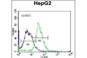 PLEKHH1 Antibody (C-term) (ABIN656704 and ABIN2845936) flow cytometric analysis of K562 cells (right histogram) compared to a negative control cell (left histogram). (PLEKHH1 antibody  (C-Term))