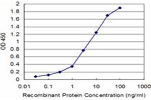 Detection limit for recombinant GST tagged MARCKS is approximately 0. (MARCKS antibody  (AA 2-65))