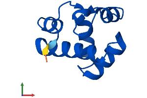 AlphaFold protein structure predicition of Human Recombinant BANF1 Protein, UniprotID O75531 (BANF1 Protein (AA 1-89) (His tag))