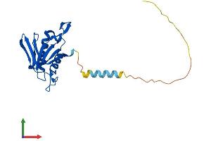 AlphaFold protein structure predicition of Human Recombinant DTD1 Protein, UniprotID Q8TEA8