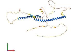 Protein Structure (PS) image for Transcription Factor EC (TFEC) (AA 1-347) protein (His tag) (ABIN7544433)