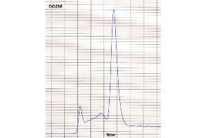product purity: gel permeation chromatography (Superose 12/HR) (Mouse anti-Human IgE Antibody (Biotin))