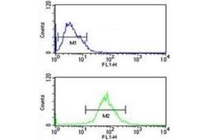 AIM2 antibody flow cytometric analysis of MCF-7 cells (green) compared to a negative control (blue). (AIM2 antibody  (AA 1-50))