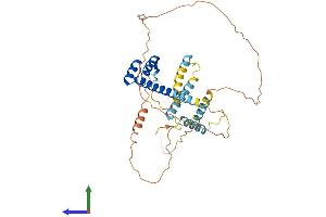 AlphaFold protein structure predicition of Mouse Recombinant Dmbx1 Protein, UniprotID Q91ZK4 (DMBX1 Protein (AA 1-381) (His tag))
