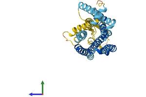 AlphaFold protein structure predicition of Human Recombinant OR2A7 Protein, UniprotID Q96R45 (OR2A7 Protein (AA 1-310) (His tag))