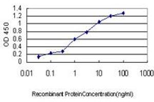 Detection limit for recombinant GST tagged HOXB1 is approximately 0. (HOXB1 antibody  (AA 1-74))