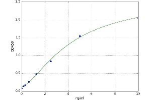 A typical standard curve (KBTBD13 ELISA Kit)