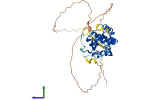 Protein Structure (PS) image for Speedy Homolog A (SPDYA) (AA 1-310) protein (His tag) (ABIN7557464)