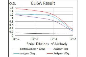 ELISA image for anti-Cyclin-Dependent Kinase 2 (CDK2) antibody (ABIN1845617) (CDK2 antibody)