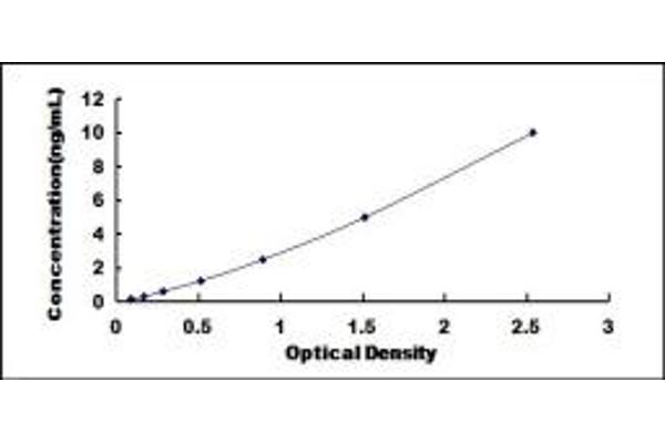 CD72 ELISA Kit