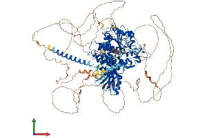AlphaFold protein structure predicition of Mouse Recombinant Mtmr4 Protein, UniprotID Q91XS1