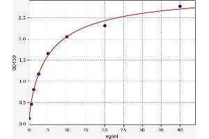 Typical standard curve (RECK ELISA Kit)