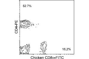Flow Cytometry (FACS) image for anti-CD8 (CD8) antibody (FITC) (ABIN371426)
