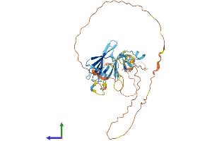 AlphaFold protein structure predicition of Human Recombinant TCF19 Protein, UniprotID Q9Y242