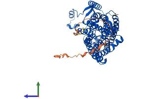 AlphaFold protein structure predicition of Mouse Recombinant Rhcg Protein, UniprotID Q9QXP0 (RHCG Protein (AA 1-498) (His tag))