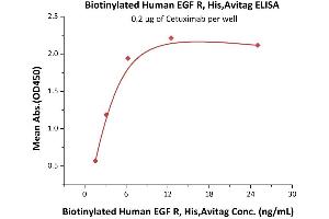 Immobilized Cetuximab at 2 μg/mL (100 μL/well) can bind Biotinylated Human EGF R, His,Avitag (ABIN5674594,ABIN6253697) with a linear range of 2-6 ng/mL (QC tested).