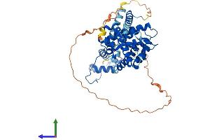 AlphaFold protein structure predicition of Mouse Recombinant Nr1h3 Protein, UniprotID Q9Z0Y9 (NR1H3 Protein (AA 1-445) (His tag))
