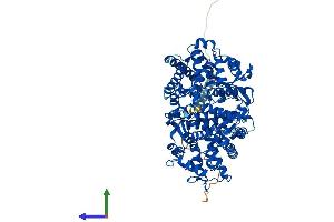 AlphaFold protein structure predicition of Mouse Recombinant Mmel1 Protein, UniprotID Q9JLI3 (MMEL1 Protein (AA 1-765) (His tag))