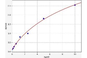 Typical standard curve (HDAC2 ELISA Kit)