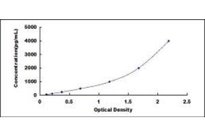 Typical standard curve (IGFBP7 ELISA Kit)