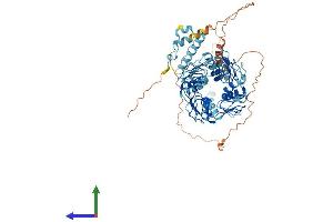 AlphaFold protein structure predicition of Human Recombinant ZNF135 Protein, UniprotID P52742 (ZNF135 Protein (AA 1-658) (His tag))